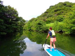 初めてだって大丈夫👌
初心者に最適な環境がみなさまをお迎えします🌴
西表島の大自然の中をSUPでクルージング!
マングローブから亜熱帯のジャングルをお手軽に体感出来ます🙌
落ちたら全身ずぶ濡れですけどね〜🤣
ちょっと心配な方は、ウエットスーツを無料でレンタルしているのでご安心を🔰
#沖縄 #八重山 #西表島 #大原港
#西表島sup #イリオモテステーション #ステキコネクション #スタンドアップパドル #マングローブ #マングローブsup #リトリート #西表島リトリート #瞑想
#okinawa #iriomote
#iriomotestationeast #sup#iriomotesup #greenroom #mangrove #supsurfing #sawarna_sup #sawarnasup #sawarnastyle #chillout #chill #yoga #shinminkavilla #shinminkairiomote