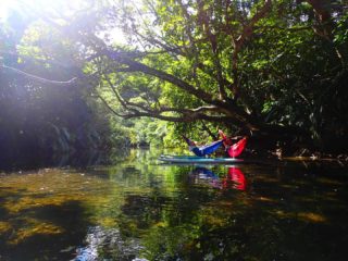 時間に余裕があれば木漏れ日の中でゆったりchill time🌴
#沖縄 #八重山 #西表島 #大原港
#西表島sup #イリオモテステーション #ステキコネクション #スタンドアップパドル #マングローブ #マングローブsup #リトリート #西表島リトリート #瞑想
#okinawa #iriomote
#iriomotestationeast #sup#iriomotesup #greenroom #mangrove #supsurfing #sawarna_sup #sawarnasup #sawarnastyle #chillout #chill #yoga #shinminkavilla #shinminkairiomote