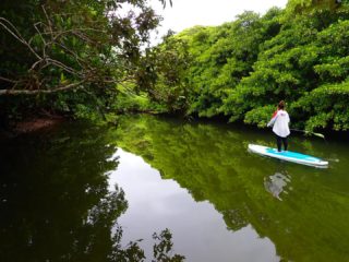久しぶりに吸い込まれそうな#greenroom
#沖縄 #八重山 #西表島 #大原港
#西表島sup #イリオモテステーション #ステキコネクション #スタンドアップパドル #マングローブ #マングローブsup #リトリート #西表島リトリート #瞑想
#okinawa #iriomote
#iriomotestationeast #sup#iriomotesup #greenroom #mangrove #supsurfing #sawarna_sup #sawarnasup #sawarnastyle #chillout #chill #yoga #shinminkavilla #shinminkairiomote
